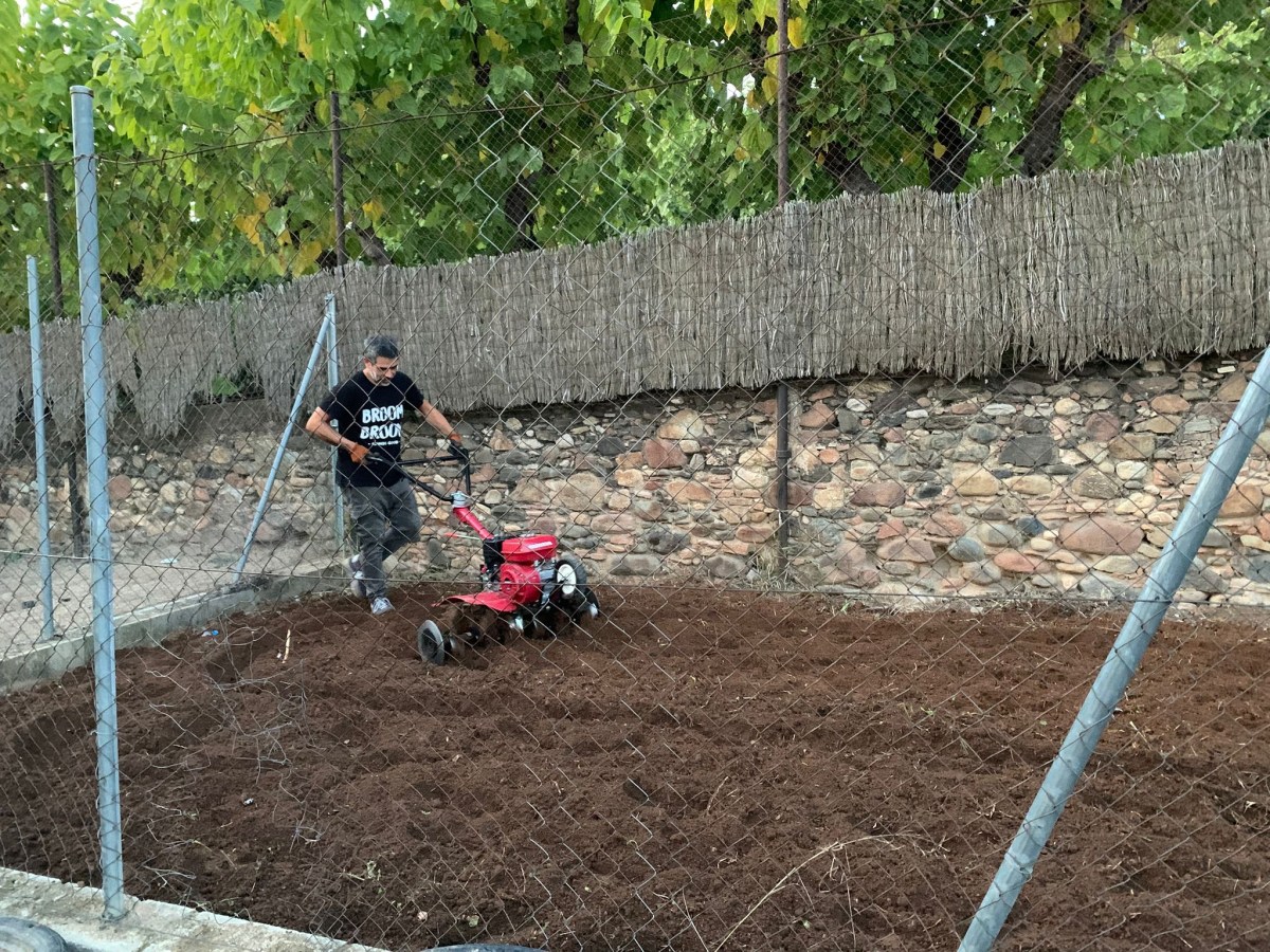 Reneix l’hort de&nbsp;l’escola